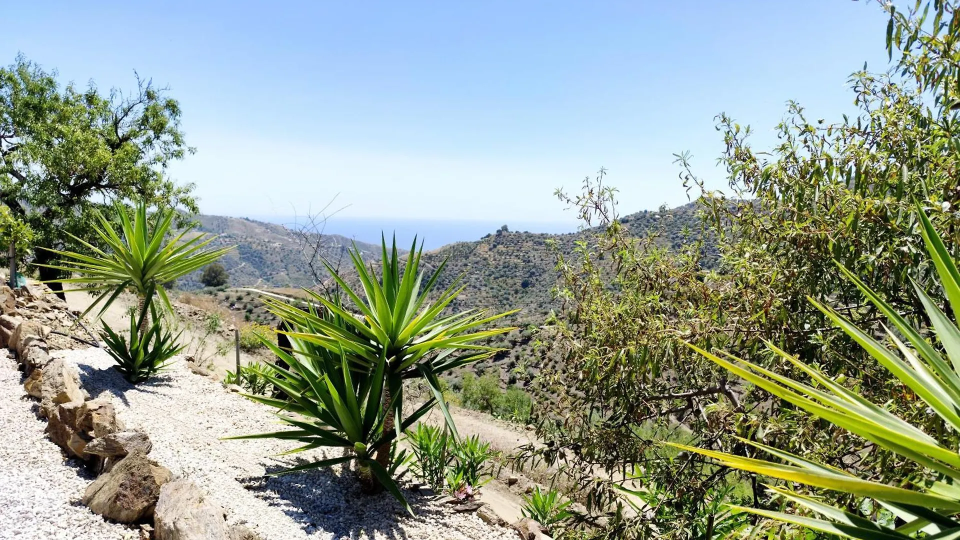 Villa El Mirador De La Axarquia Daimalos
